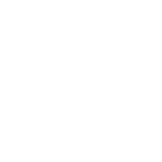 Expert Guidance and Support Icon - Antean Technology
